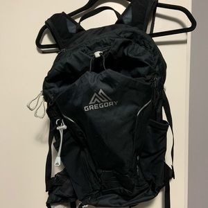 Gregory day pack